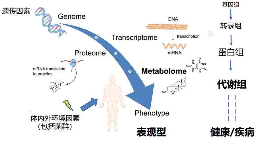 36氪首发 基于代谢组学做肿瘤早筛「中精普康」获数千万元pre-a轮