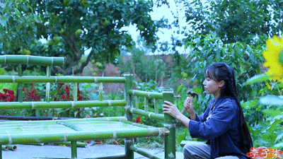 李子柒是李佳琦的流量继承者吗
