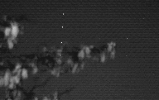 仔细看,发现了吗?这种并不常见的现象,自然吸引了无数人的目光.