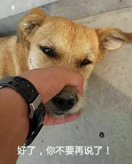 池子撕X撕出公益