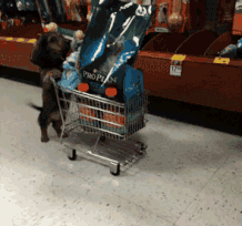 “好色之徒”的逻辑