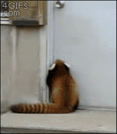 “好色之徒”的逻辑