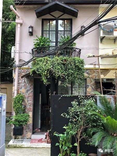 上海老洋房只分两种味道：霉味和钱味