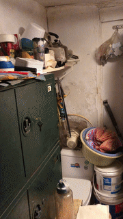 上海老洋房只分两种味道：霉味和钱味