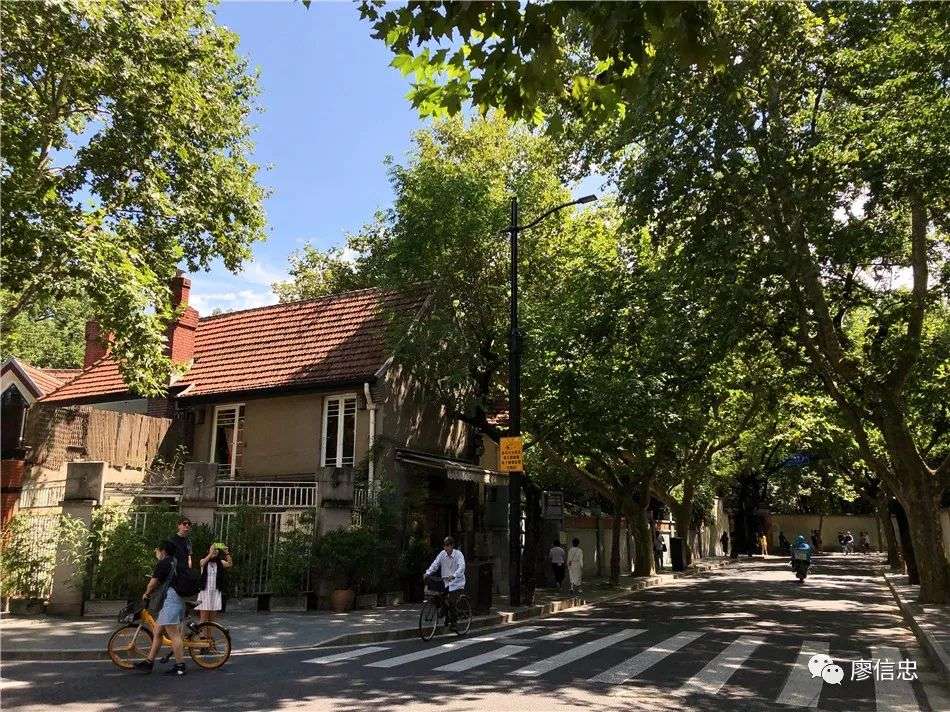 上海老洋房只分两种味道：霉味和钱味