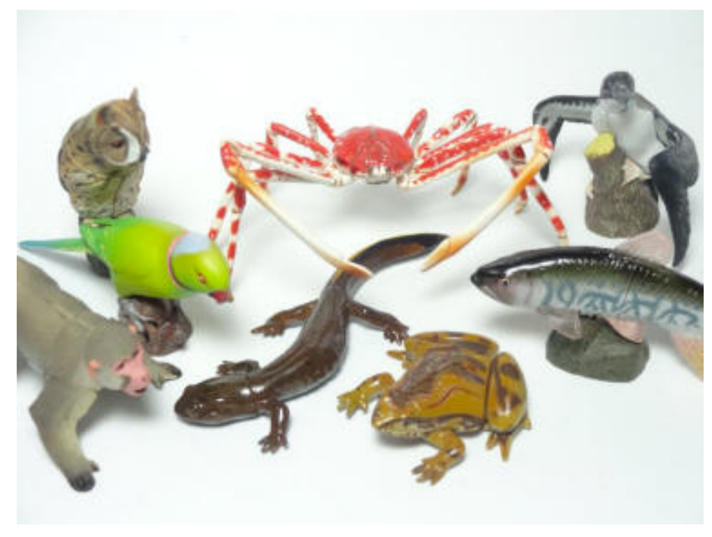 ​2019年日本食玩规模约为480亿日元