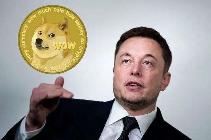 暴涨暴跌的狗狗币折射出魔怔般的马斯克崇拜