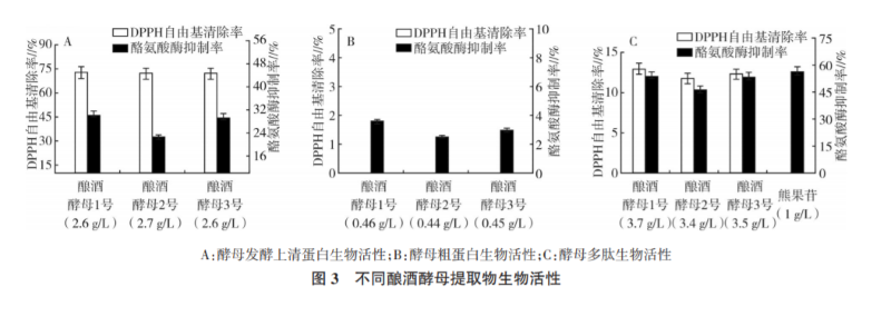 日常生活中我们对于酵母菌的认知,在于其可以通过发酵来酿酒或制作