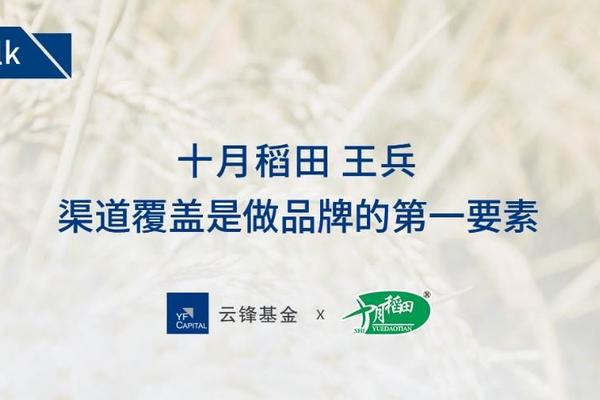 十月稻田王兵:大米的创新与迭代|云锋talk