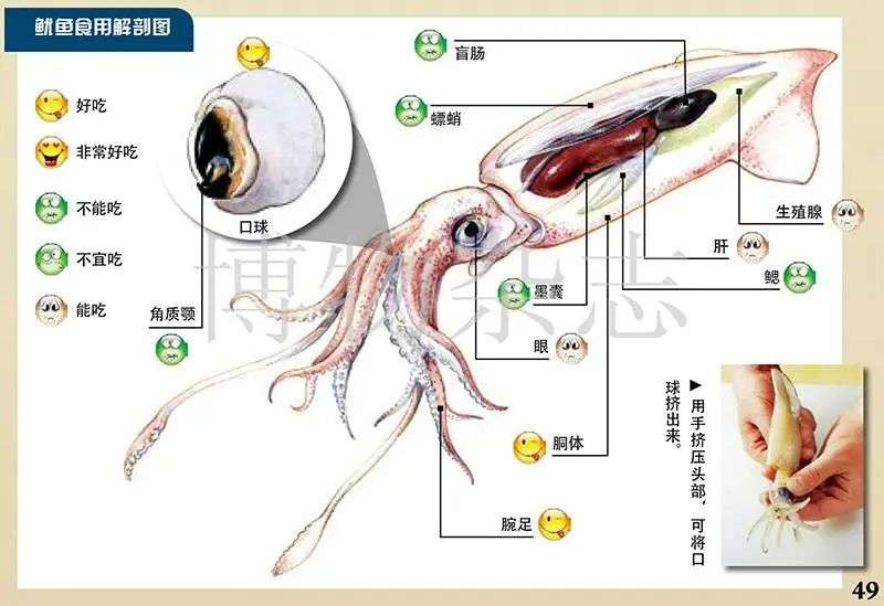 科普大v和明星一样红了他们重塑了知识的魅力