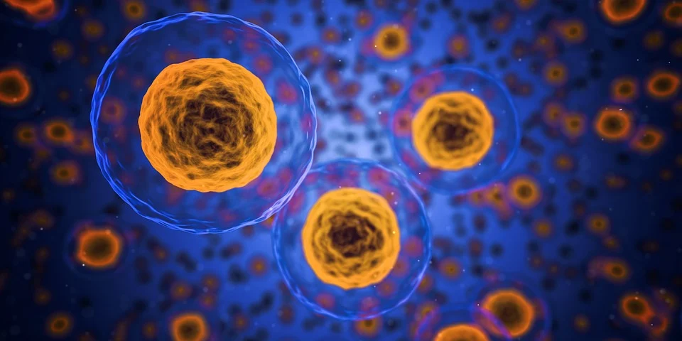 人造细胞,合成生物学家的梦想