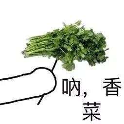 如饴成立"世界香菜日"就是今天;厌恶它的人恨之入骨组成"反香菜联盟"