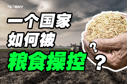 长达60年的粮食战争从未结束,谁在利用粮食挑起危机?