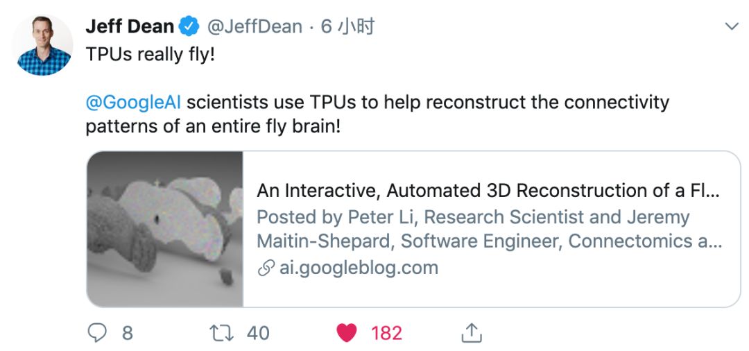 Google automatically rebuilt the complete brain of the fruit fly: 40 trillion pixel image first public