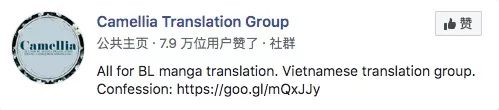 2019越南游戏和互联网产品出海报告:TMT和支付篇