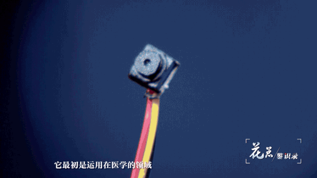偷拍的秘密：小投入高回報，偷窺欲和性的滿足
