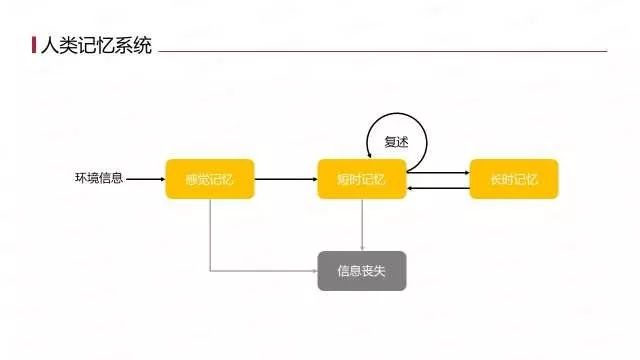 科学分析：知乎、易车网、BOSS直聘、伯爵旅拍广告洗脑的根源