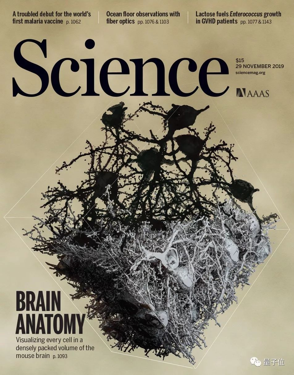 Seven years end to Science cover: reconstruction of the strongest cerebral cortex neural network, revealing the largest neural circuit map in mammals so far