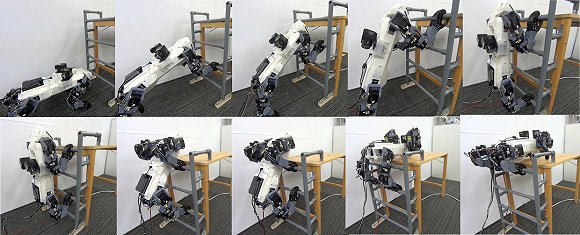 When the robot dog came into reality: US police began testing the working ability of the robot dog