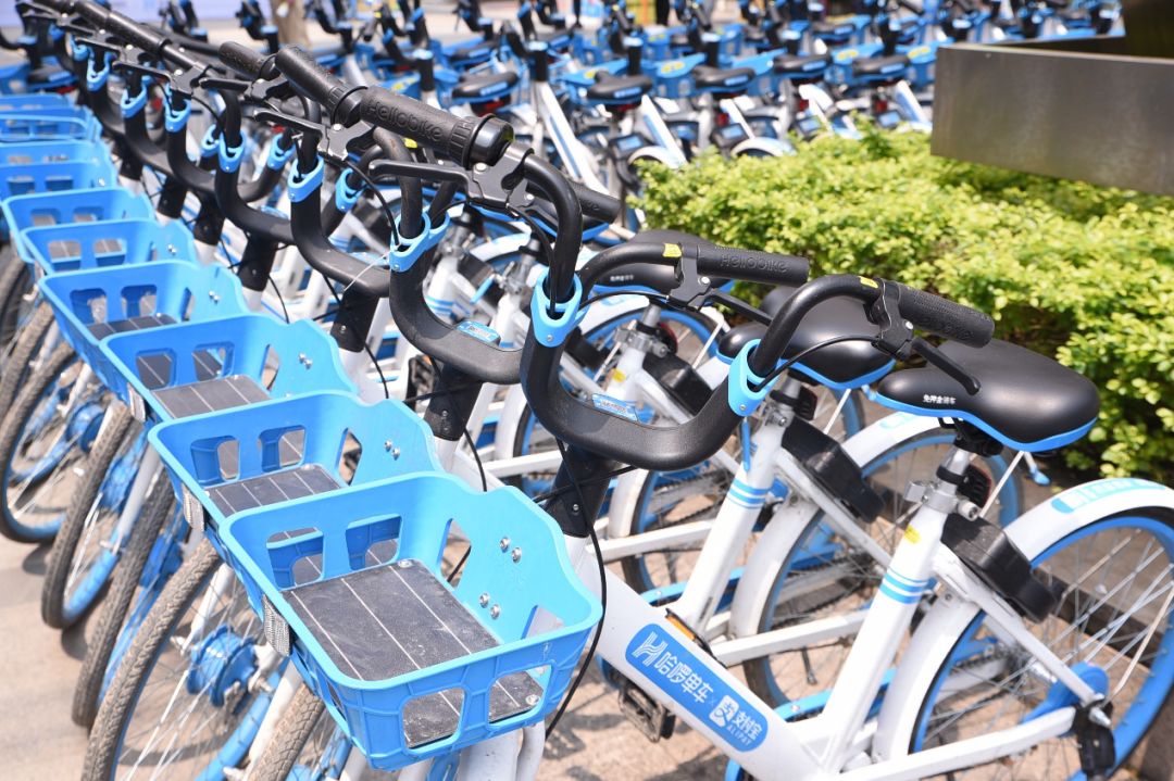 两轮战事中的哈啰出行：建生态、拓边界和理性竞争