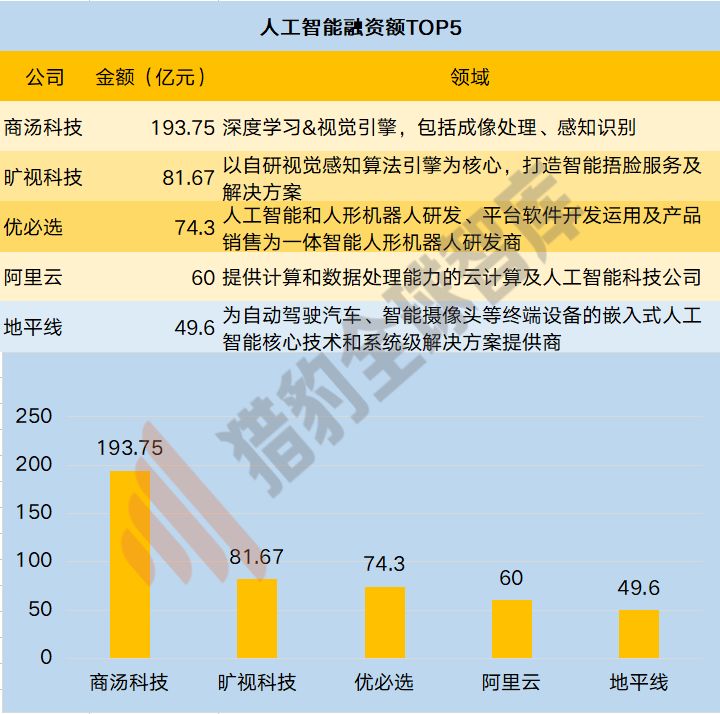 泡沫挤压：AI行业热度骤降，基础层投资被忽视