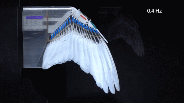 真·鲁班：斯坦福学者造出带羽毛翅膀的「机器鸽」，登上Science及其子刊