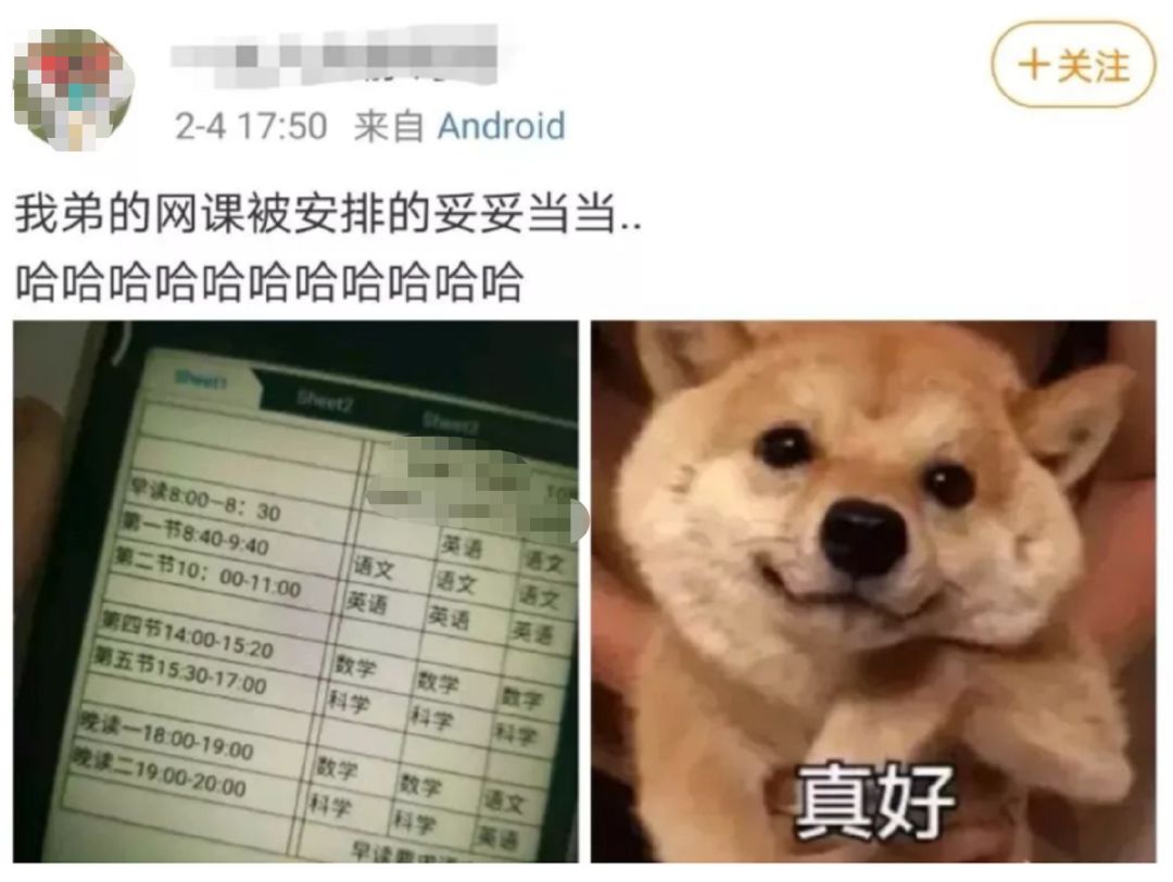 学生和老师的魔幻网课大战