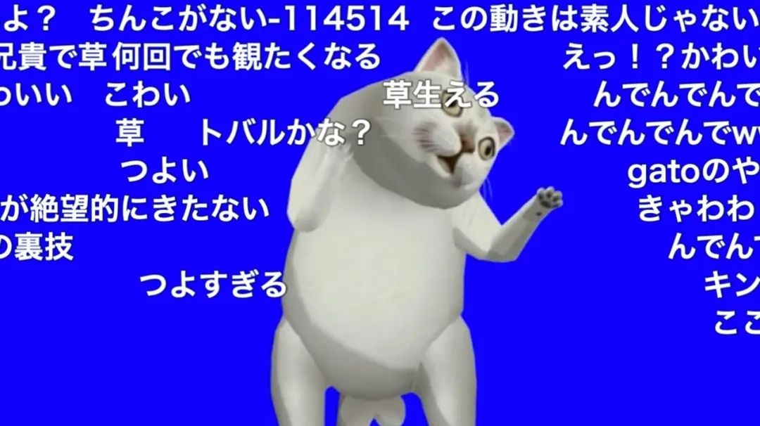 微博 B站流行的mur猫 为什么长这样 591资讯