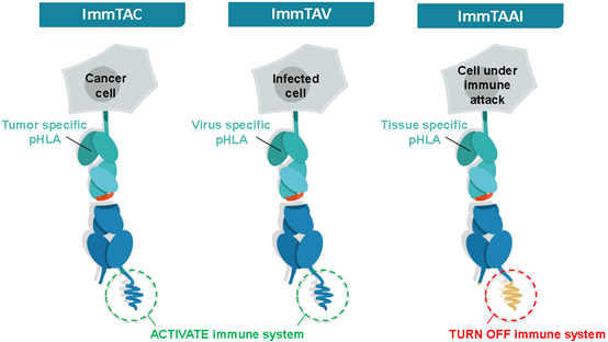 Immunocore has raised USD 130 million in Series B financing based on TCR's development of various cancer cell therapies