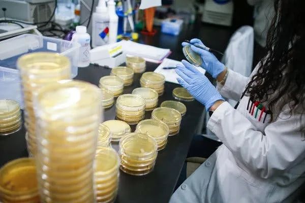 斯坦福大学推出新冠病毒检测试剂盒，可快速出结果