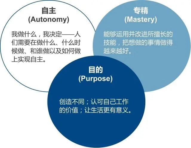 日本大叔“玩”纸实现财务自由：赚钱套路千万条，内在驱动第一条