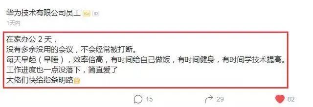 为什么谷歌苹果都搞不定在家办公？