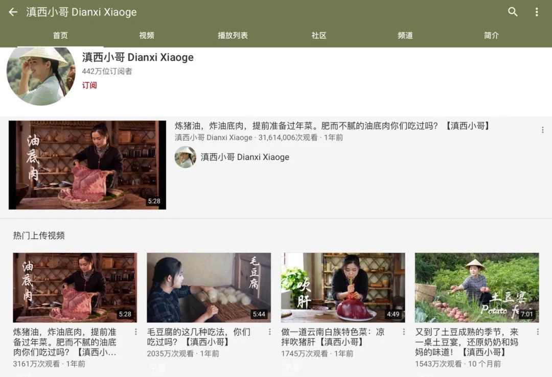 李子柒复工、滇西小哥“做菜”受追捧，YouTube上中国网红的残酷搏杀