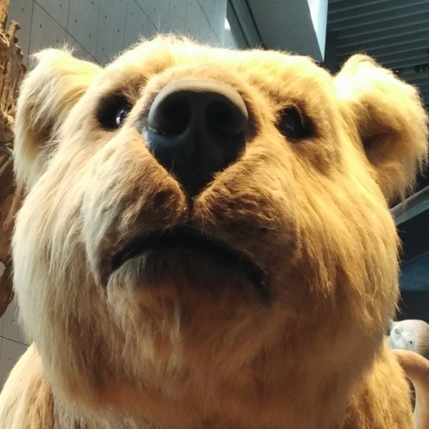 中国youtube 发展史 详细解读 最新资讯 热点事件 36氪