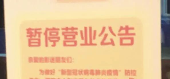 流向院线的热钱开始涌向“网大”?