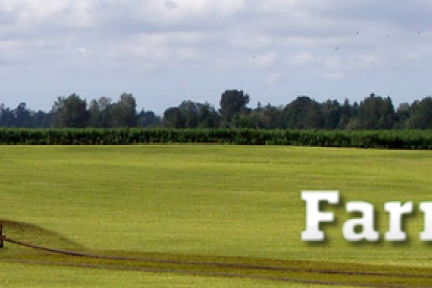 真正的开心农场：农业云服务初创企业FarmLogs获100万美元融资