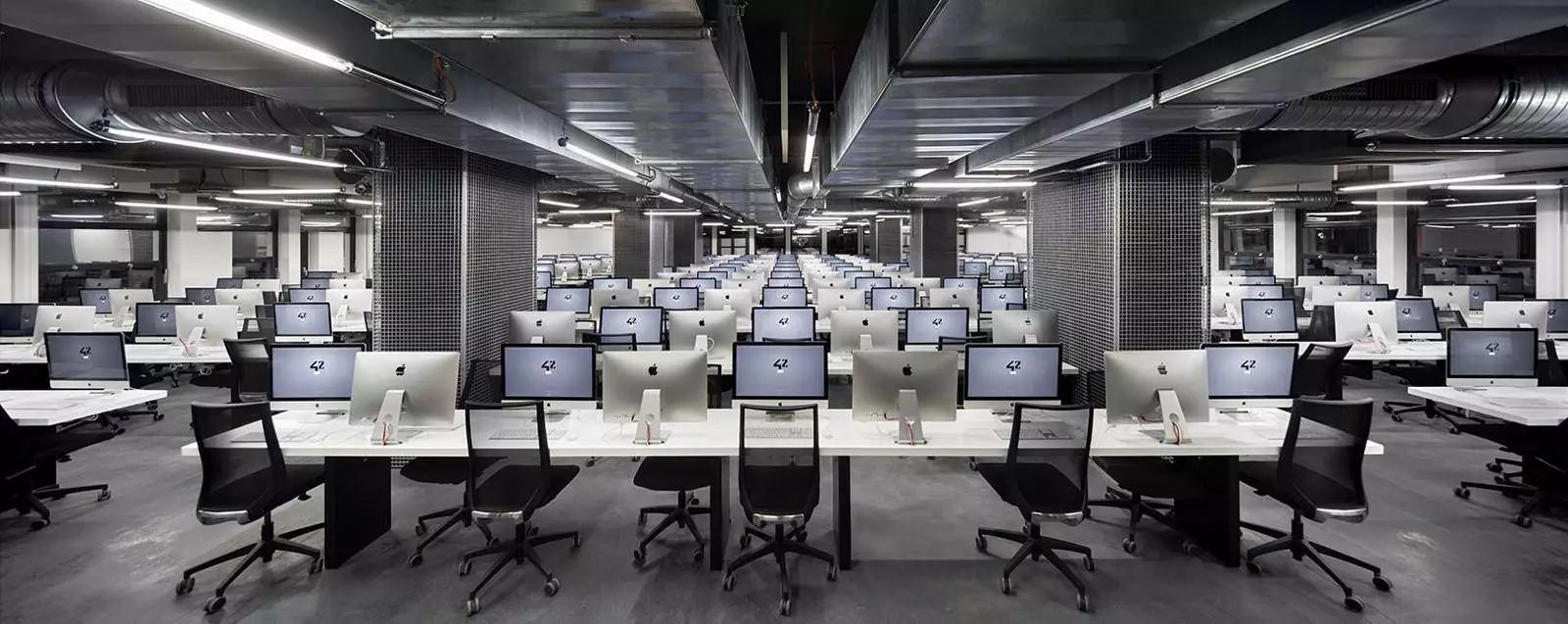 没老师、没作业、没文凭，这学校的毕业生还被一流大公司抢光