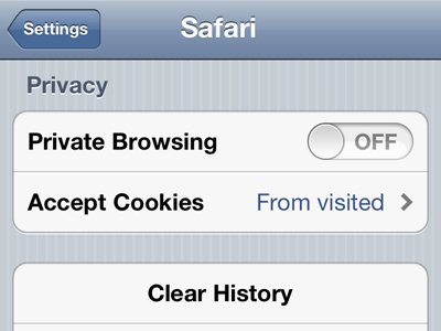 Turn on Private Browsing, just like in Safari for Mac.