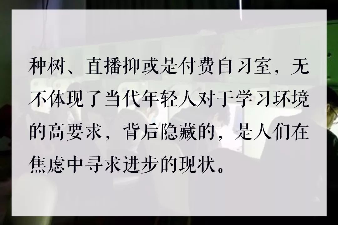 种树、直播、付费自习室……这届年轻人喜欢搭伴学习