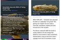 3000万美元买的果然是背后的技术：Yahoo! app 上线，使用了一个月前收购的Summly的新闻摘要技术