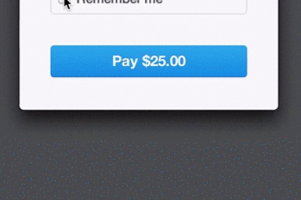 如何通过动画效果优化支付过程的用户体验？