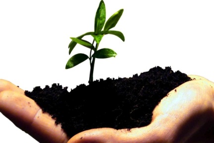 36氪+ 最新初创项目观察第18期