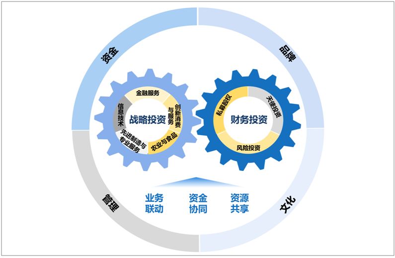 柳传志明日退休，“黑马”宁旻将成接班人