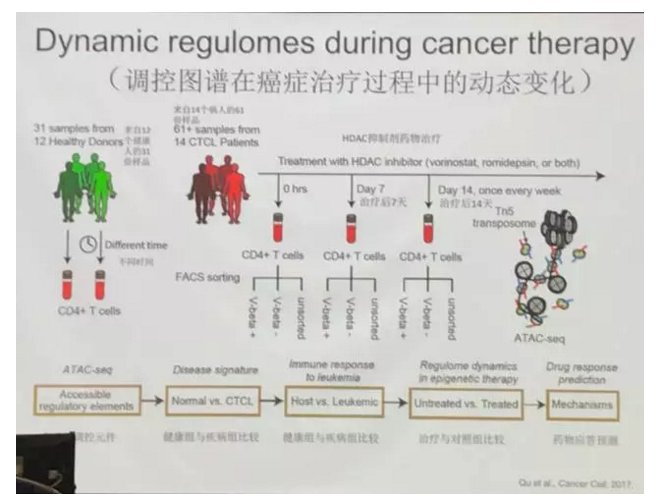 斯坦福教授说，“返老还童”这事，居然可以实现