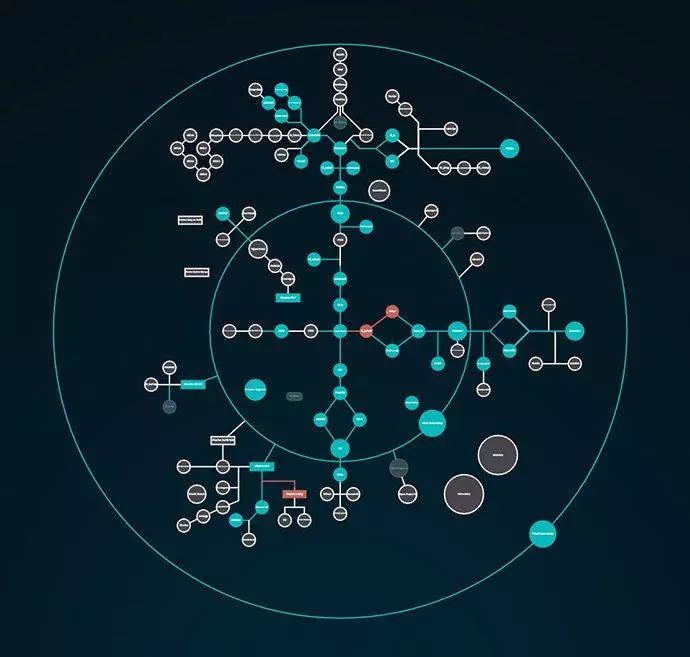 没老师、没作业、没文凭，这学校的毕业生还被一流大公司抢光