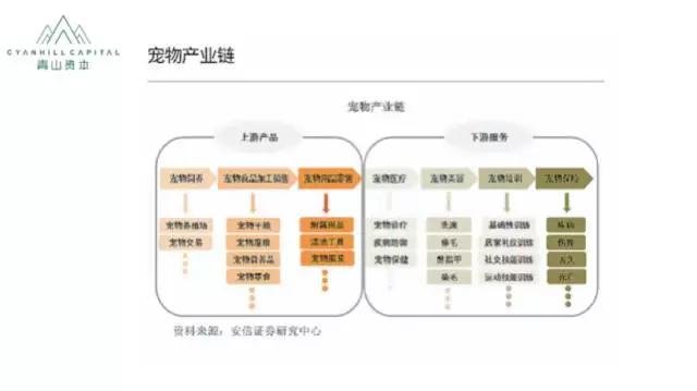 青山资本：宠物消费升级风口下，这些方向可能还有机会