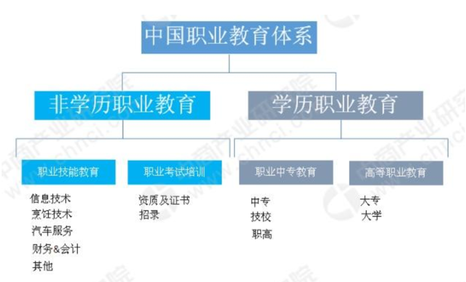 职业教育机构的风口来了吗？