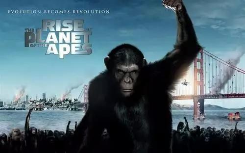 冥想——乔布斯、施瓦辛格、科比都会做的同一件事