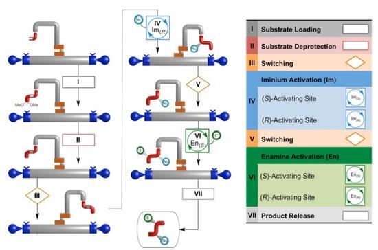 世界首个分子机器人问世，能够帮助建造其他分子