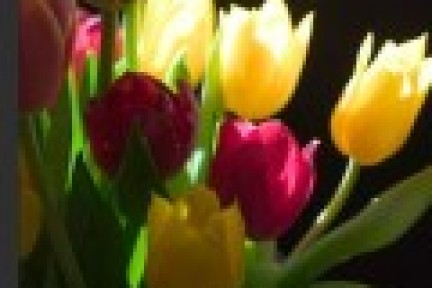 Adobe演示iPad版Photoshop，其正式发布令人期待